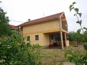 Dedinje