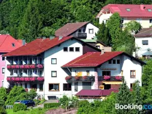 Aparthotel Schwarzwald Panorama