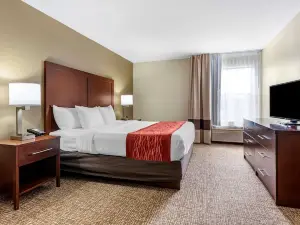 Comfort Inn & Suites Cincinnati Eastgate