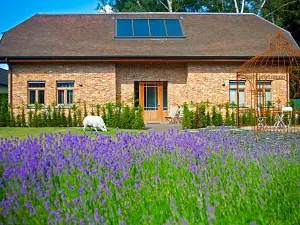 B&B Gielse Garden