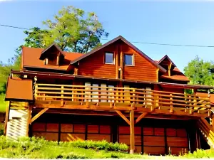 Art Apartments Minic
