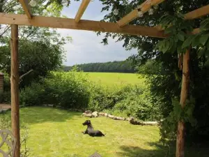 The Yurt at Worcesters Farm