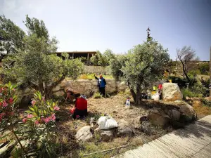 Vadi Alacati
