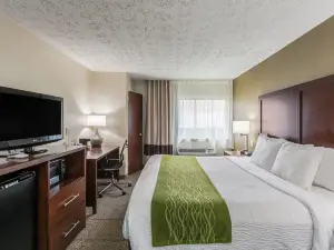Comfort Inn Medford-Long Island