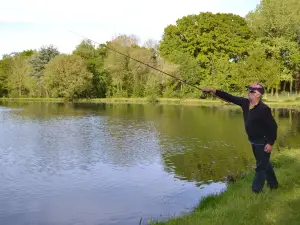 Cabane Dans les Arbres - le Nid Dans le Chêne