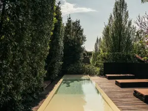 C-Hotel & Spa
