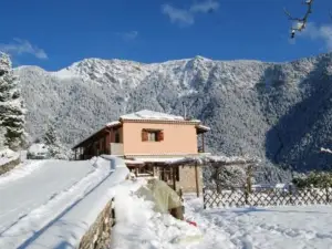 Dryades Guesthouse