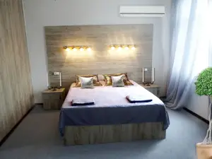 Hotel David