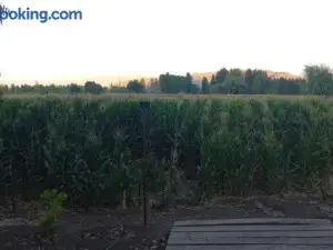 HABITACIÓNES Privadas EN Hermosa Casa de Campo Malloa