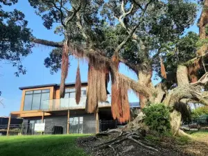 Ariki Beachfront Apartment