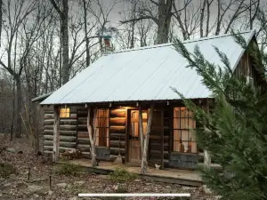 Woodsy Cabin Guest House with Spa and Pickleball Court.