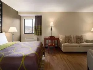 Super 8 by Wyndham Ithaca