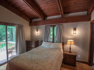 Blue Ridge Mountain Chalet - 13 Acres: Private and Modern!