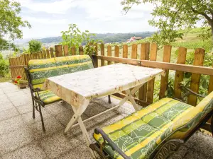 Country House Srček