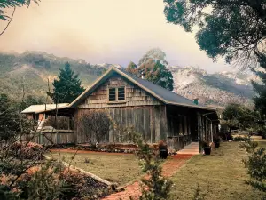 와일더 태즈메이니아