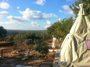 Galilee Bedouin Camplodge