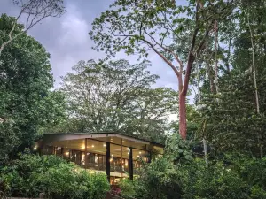 Selva Verde Lodge