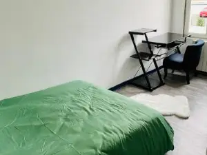 Maison Individuelle Cozy Asterix, CDG, Paris, Disney, Olympic Games 2024