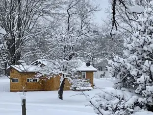 Our cozy and quiet cabin offers relax and unwind time, yet adventurous escapes