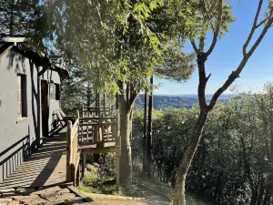 Secluded In Town Cabin in the Woods