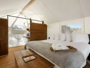 Under Canvas White Mountains