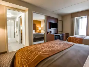 Comfort Inn at the Park