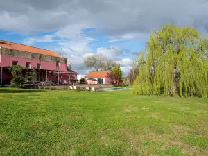Casa Das Jardas