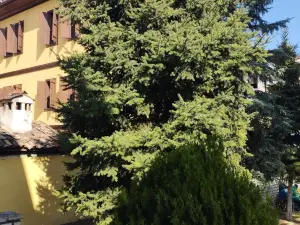 Sari Konak Garden Otel Safranbolu