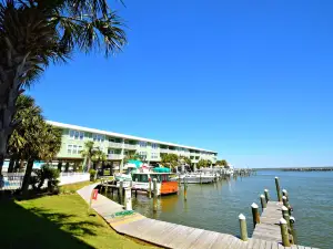 Navy Cove Harbor