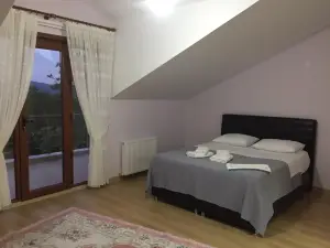 Sapanca Mavi yeşil köy Evi