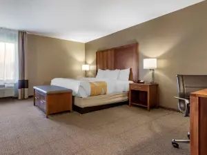 クオリティ イン ドーバー