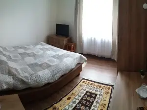 馬里斯阿德羅半島飯店