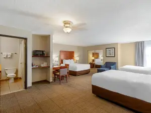 Comfort Inn & Suites Near Fallon Naval Air Station