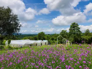 Phu Prom Dao Farmstay