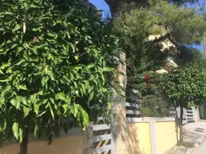 ELIAS APARTMENT