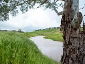 Triple Creek Guest House - Barossa Region