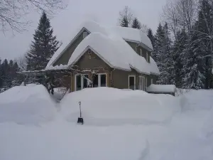 Gîte Forestier De La Rivière Saguay