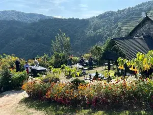 프라크리티 리조트 앤 오가닉 팜