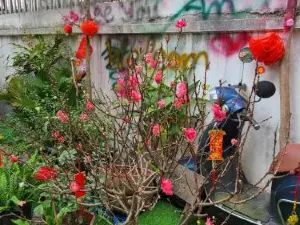 An Homestay