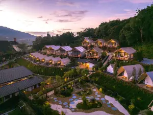 Zen by Stellar Cameron