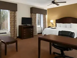 แฮมป์ตัน อินน์แอนด์สวีทส์ คอนโร - ไอ-45 นอร์ท