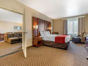 Comfort Inn & Suites Galt - Lodi North