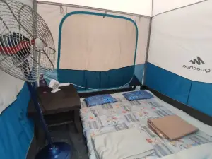 캄피스탄 콜라드