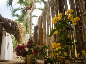 Hostal Corazon de Tagua