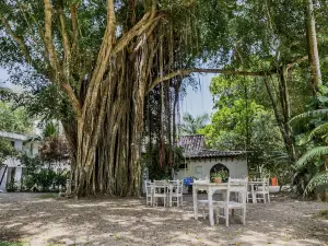 Hotel Restaurante Selva Negra