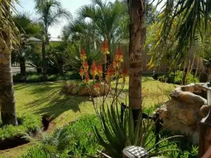 Nkwasi Lodge
