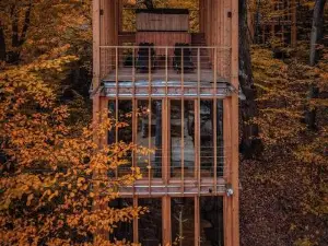 TreeHouses Noszvaj