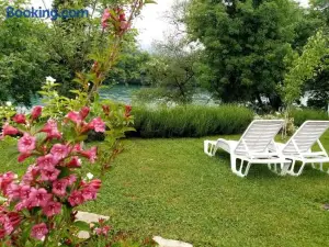 Nikolija 3