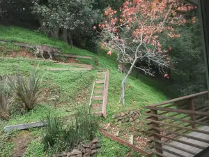 MV Homebase: Walk to downtown/Mt Tam. Close to Muir Woods/SF