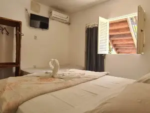 파라디소 트로피칼